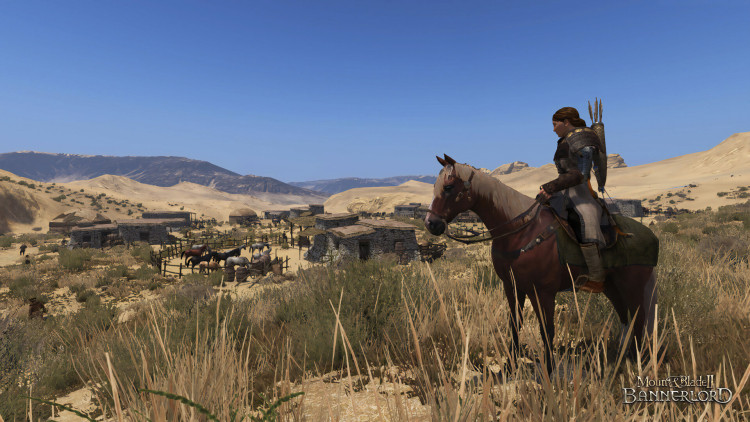 Mount & Blade II: Bannerlord, Steam Gift