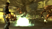 Fallout 3: Game of the Year Edition, Steam Gift