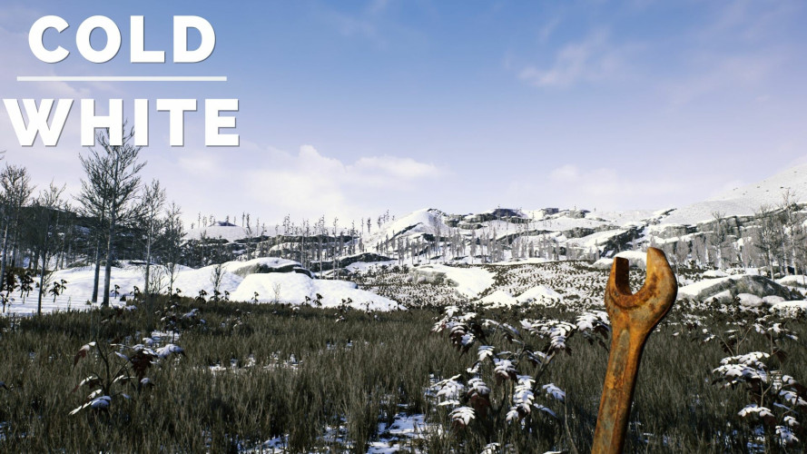 The Cold White, Steam Gift