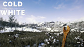 The Cold White, Steam Gift