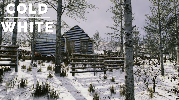 The Cold White, Steam Gift