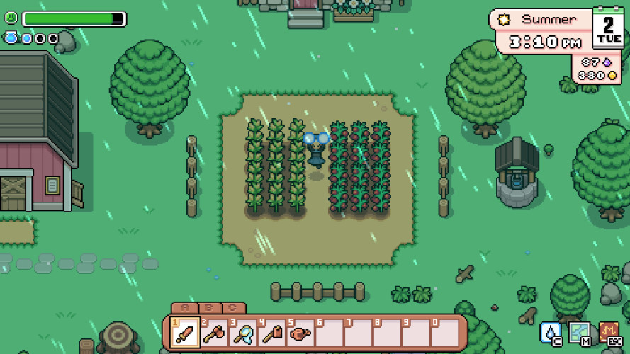 Fields of Mistria, Steam Gift