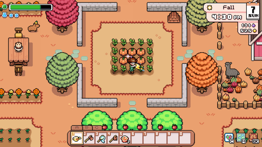 Fields of Mistria, Steam Gift