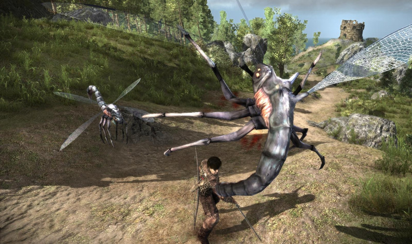 ArcaniA, Steam Gift