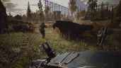 '83, Steam Gift