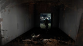 Predator: Hunting Grounds, Steam Gift