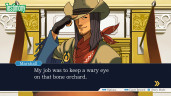 Phoenix Wright: Ace Attorney Trilogy, Steam Gift
