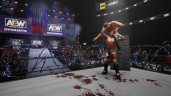 AEW: Fight Forever, Steam Gift
