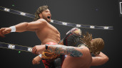 AEW: Fight Forever, Steam Gift